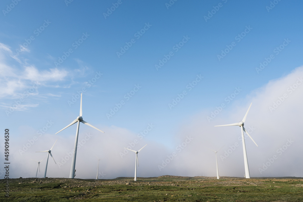 Renewable green energy in the form of wind farms Renewable green energy in the form of wind farms