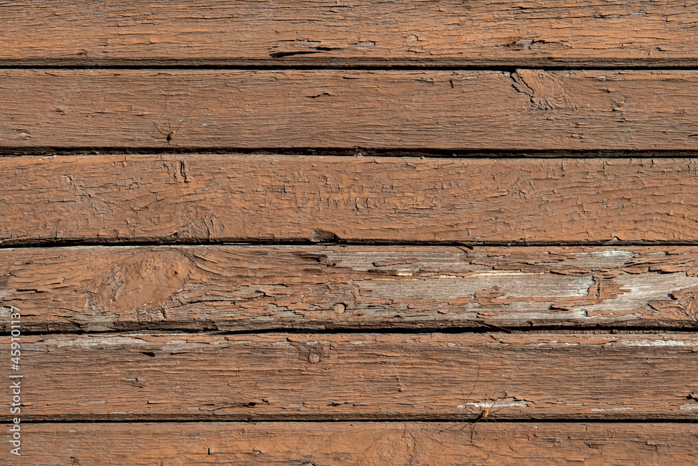 Fototapeta premium Old wooden wall with paint, background texture