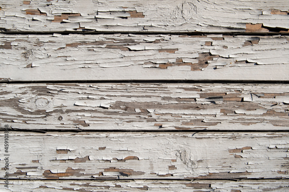 Texture of planks of old wood with peeling white paint Texture of planks of old wood with peeling white paint