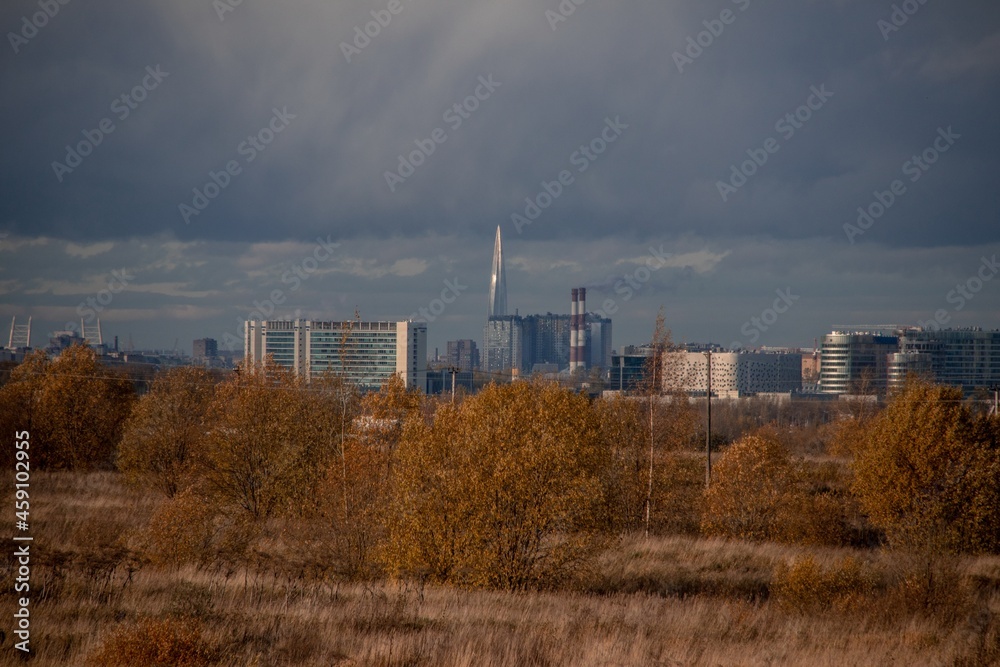orange autumn field with trees and a city on the horizon