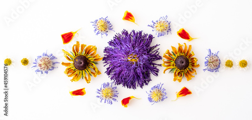 Dried purple aster and yellow rudbeckia flowers  daisies and marigold petals laid out in a pattern on a white background.