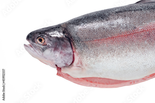 rainbow trout isolate, fresh large whole river trout on white background, close-up