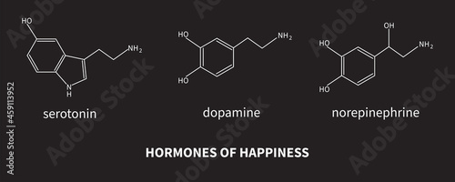 Hormones of happiness - serotonin, dopamine, norepinephrine