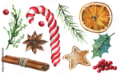 Isolated candy cane, gingerbread, anise star, branch leaves, red berries, holly leaf, cinnamon, orange, fir tree etc. Traced vector watercolor set. Hand drawn illustration collection on white backgrou