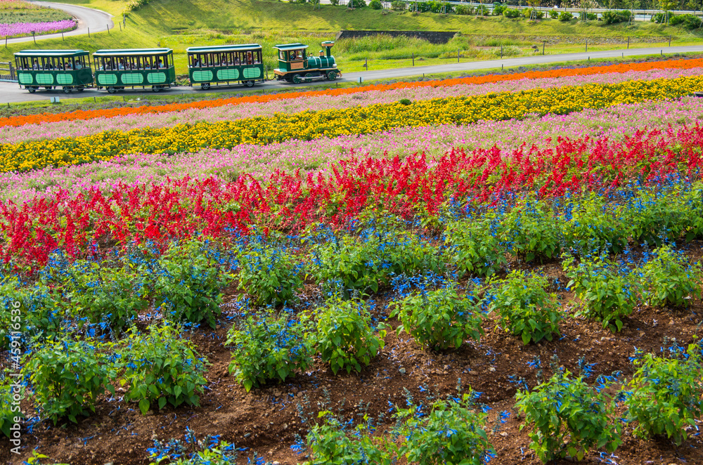 虹色花畑と鉄道バス