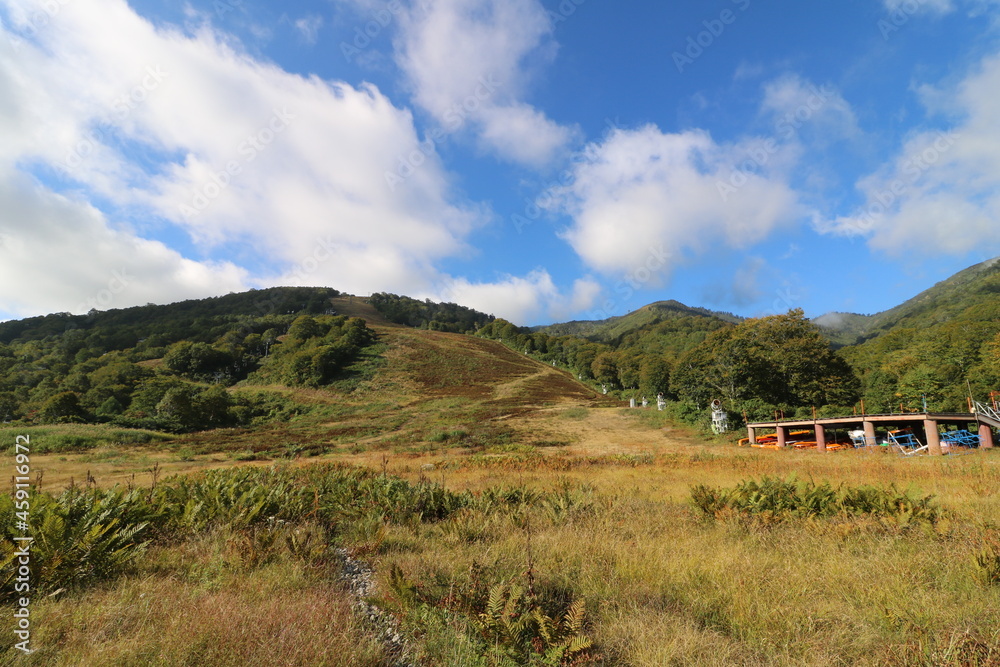 新潟県湯沢の苗場山の登山