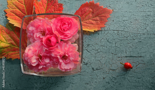 Pink flowers of roses in square glass vase with autumn leaves on blue vintage background of old painted board. Top view flat lay composition close-up.