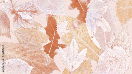 Graphic composition with stylized autumn leaves close-up. Natural floral pattern. © Na-um