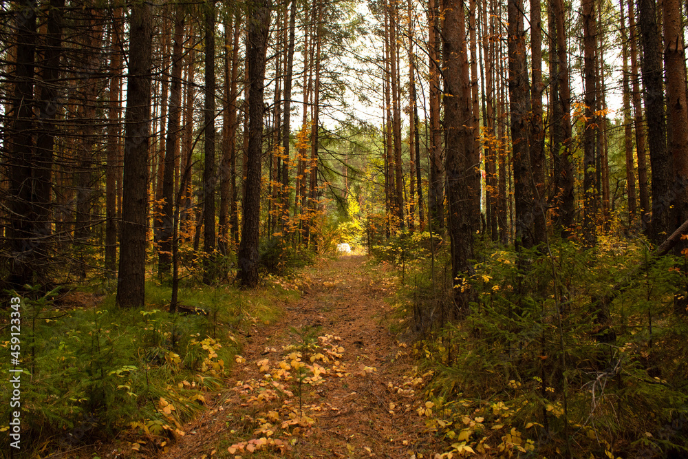 Obraz premium Кушва, Свердловская область. 