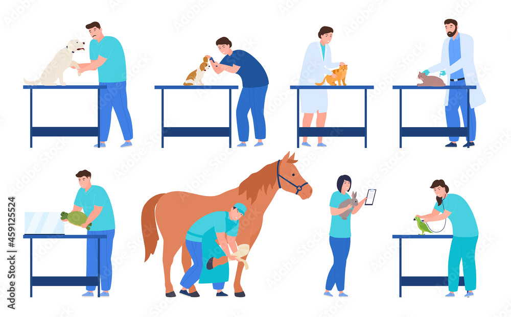 Professional veterinarians set vector flat illustration man and woman doctors examining animals Professional veterinarians set vector flat illustration man and woman doctors examining animals