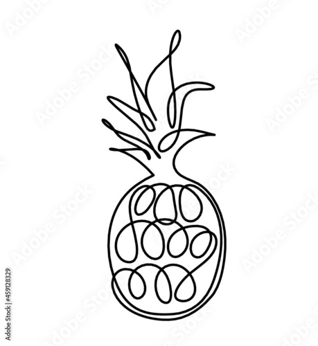 Drawing line pineapple on the white background. Vector