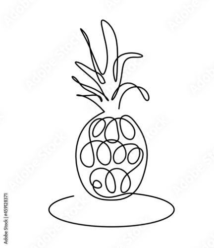 Drawing line pineapple on the white background. Vector