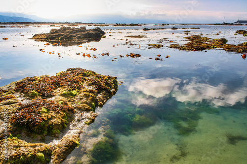 Reflections of clouds in the calm water of the sea and rocks with algae on the surface.