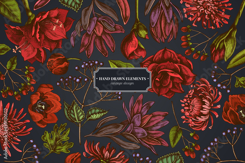 Floral design on dark background with viburnum, hypericum, tulip, aster, leucadendron, amaryllis