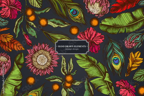 Floral design on dark background with banana palm leaves, hibiscus, solanum, bromeliad, peacock feathers, protea