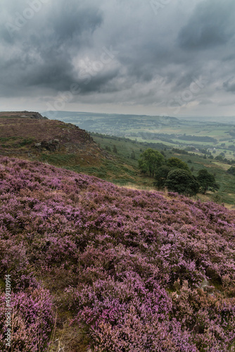 Beautiful colorful English Peak District landscape from Curbar Edge of colorful heather during late Summer sunset