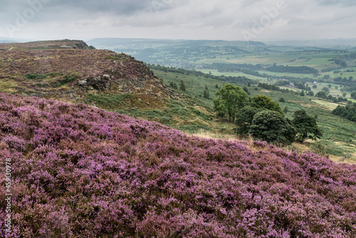 Beautiful colorful English Peak District landscape from Curbar Edge of colorful heather during late Summer sunset