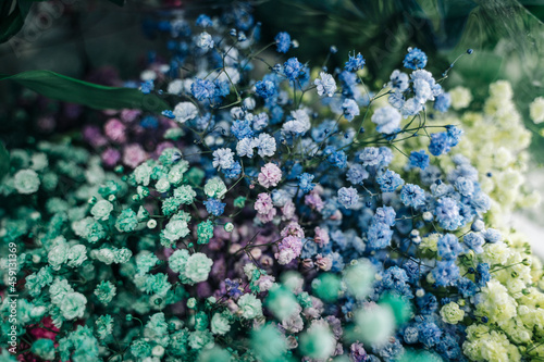 Flower show in the store. Gypsophila flowers close-up - green, purple, blue, white.