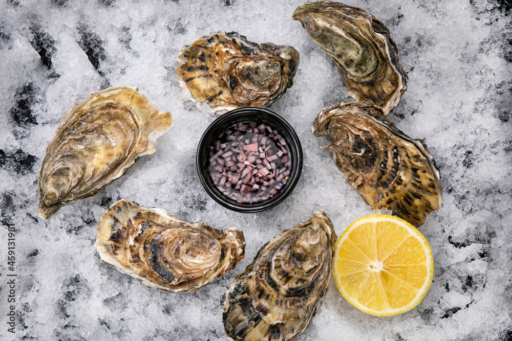 live oysters on ice
live oysters on ice