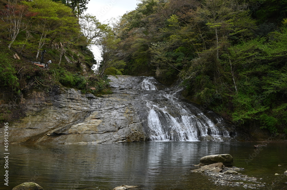 滝