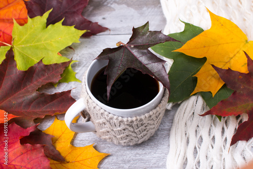 A cup of black coffee in the autumn bright foliage. Cheerful colors of autumn