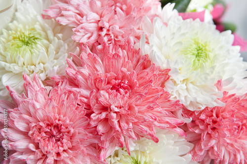 bouquet of peonies. Pink and white peonies. Flower petals close-up. Floral background.