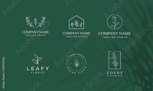 Floral element Botanical Hand Drawn Logo with Wild Flower and Leaves.