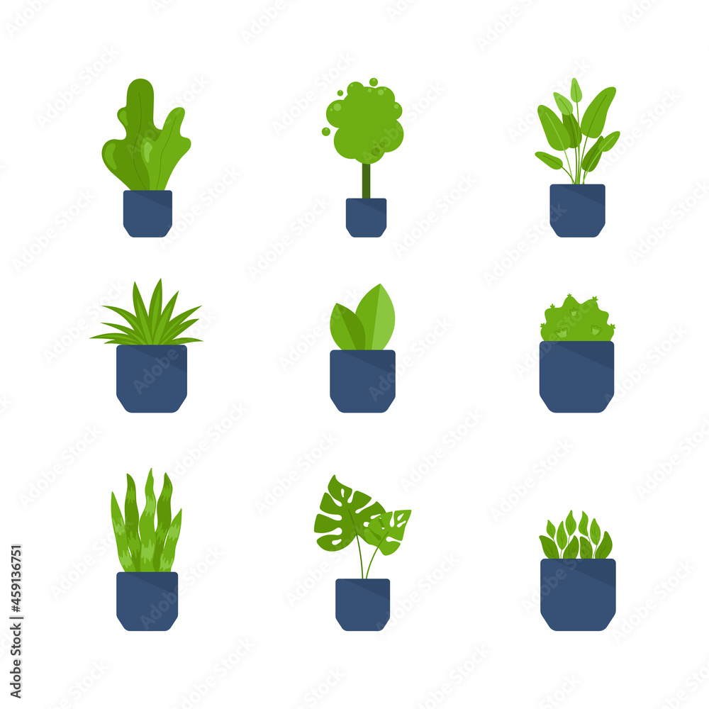 Set of home plants in pots. Green botanical house decor collection for home or office Set of home plants in pots. Green botanical house decor collection for home or office