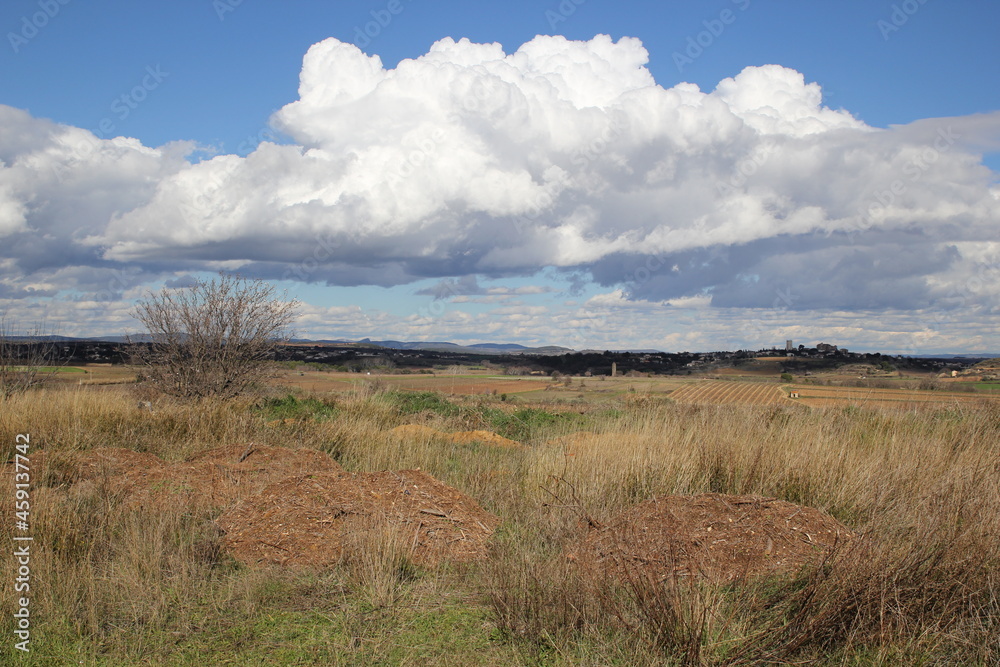 Fototapeta premium Paysage nuage