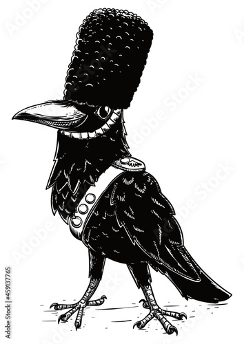 An Elegant Raven wearing like a Queen's Guard, Vector Illustration
