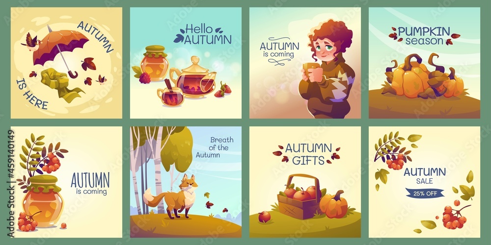 flat autumn instagram posts collection vector design illustration