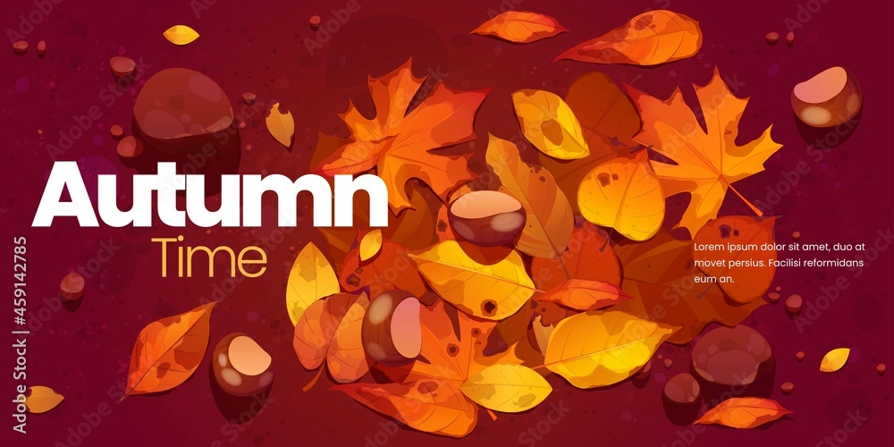 flat autumn background vector design illustration