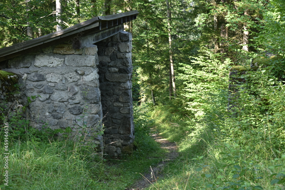 Naklejka premium Burgruine Hohenberg, Österreich, 12.08.2021