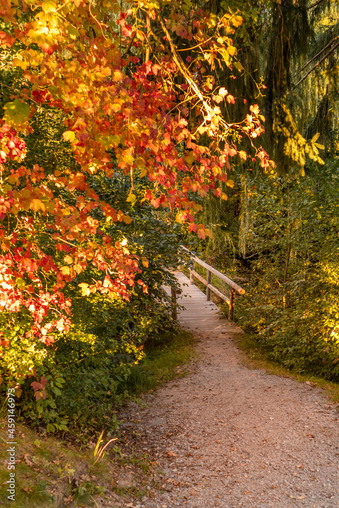 Naklejka premium Weiher, See in Ittling bei Straubing im Herbst