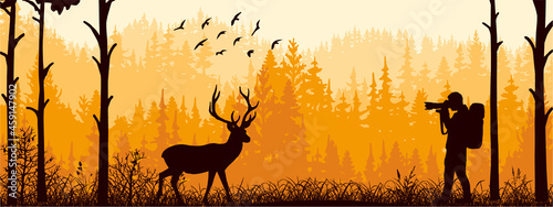 Photographer on meadow in forest take picture of deer. Silhouette of tree, man, animal. Wild nature landscape. Horizontal banner.