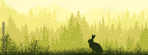 Horizontal banner. Silhouette of hare sitting on meadow in forrest. Silhouette of animal, trees, grass. Magical misty landscape, fog. Green, black illustration. Bookmark.