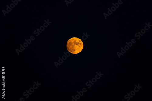 Fototapeta Naklejka Na Ścianę i Meble -  Full Harvest Moon at Moon Rise