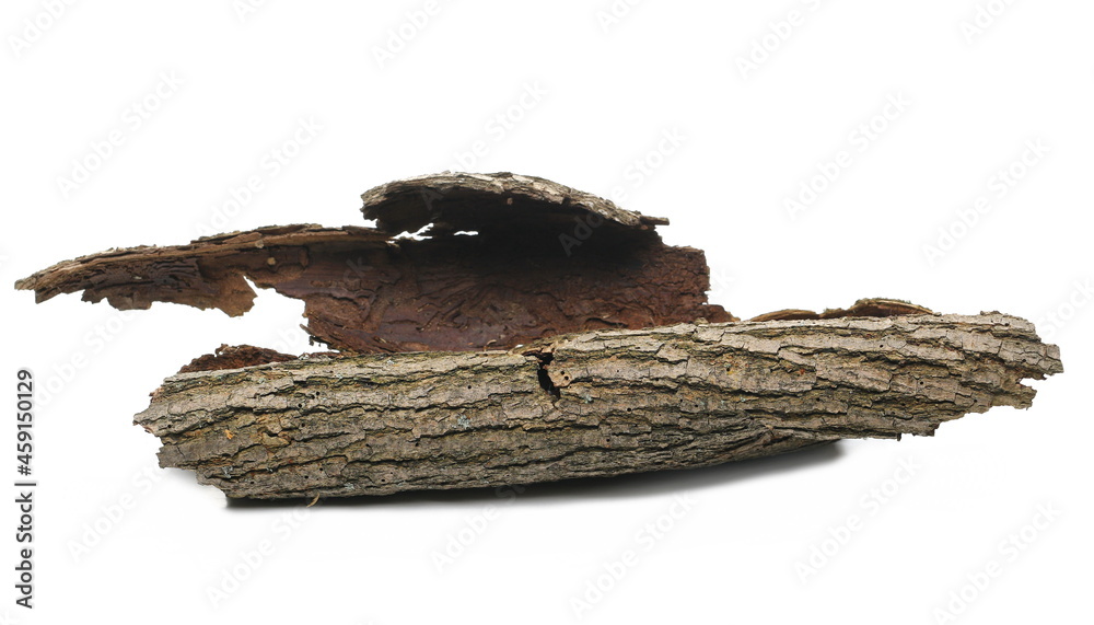 Obraz premium Tree rotten bark roll isolated on white background