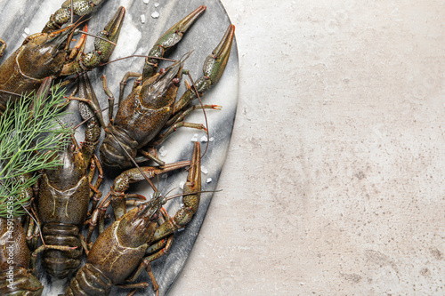 Fresh raw crayfishes with dill and salt on light grey table, top view. Space for text