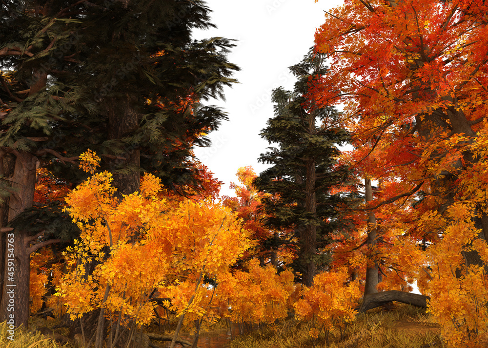 3D Autumn Forest