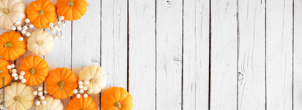 Autumn corner border of orange and white pumpkins and berries on a white wood background. Top down view with copy space. - obrazy, fototapety, plakaty 