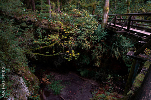 Capilano Provincial Park Vancouver BC