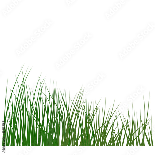 Green grass meadow horizontal border. Vector stock illustration. Isolated on a white background.