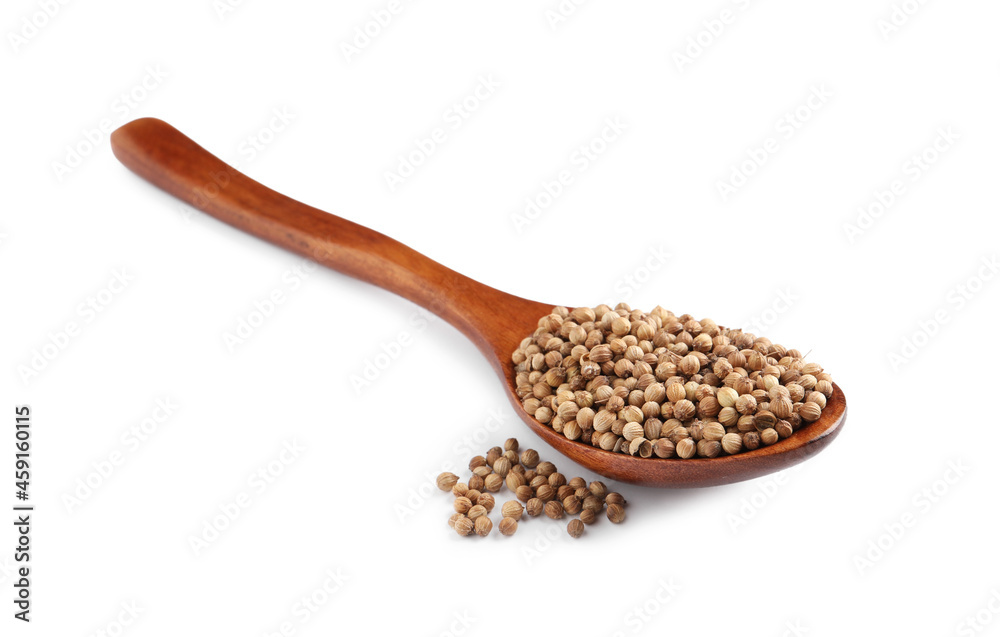 Dried coriander seeds with wooden spoon on white background Dried coriander seeds with wooden spoon on white background