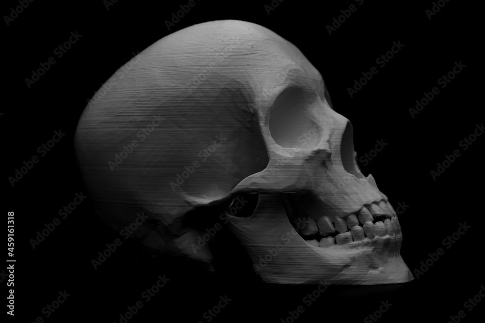 Obraz premium 3d print skull in black background