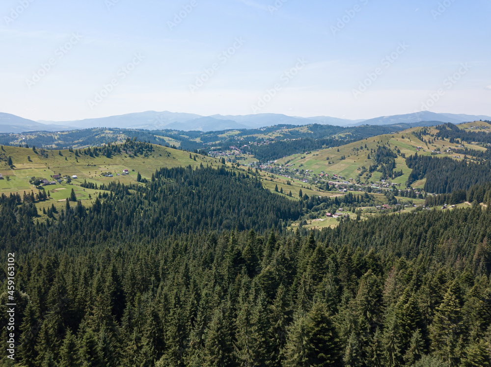 Green mountains of the Ukrainian Carpathians on a sunny summer morning. Coniferous trees on the mountain slopes and green grass. Aerial drone view.