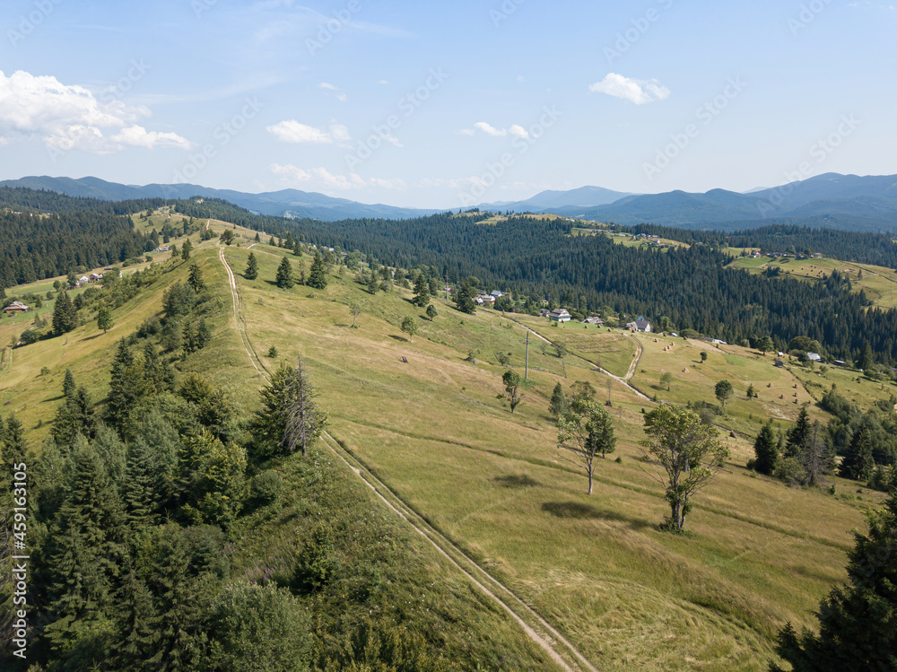 Green mountains of the Ukrainian Carpathians on a sunny summer morning. Coniferous trees on the mountain slopes and green grass. Dirt road on the mountainside. Aerial drone view.