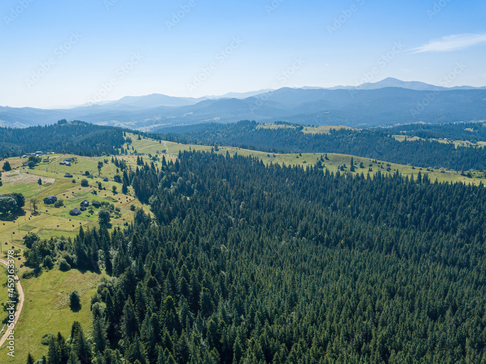 Green mountains of the Ukrainian Carpathians on a sunny summer morning. Coniferous trees on the mountain slopes and green grass. Aerial drone view. Green mountains of the Ukrainian Carpathians on a sunny summer morning. Coniferous trees on the mountain slopes and green grass. Aerial drone view.