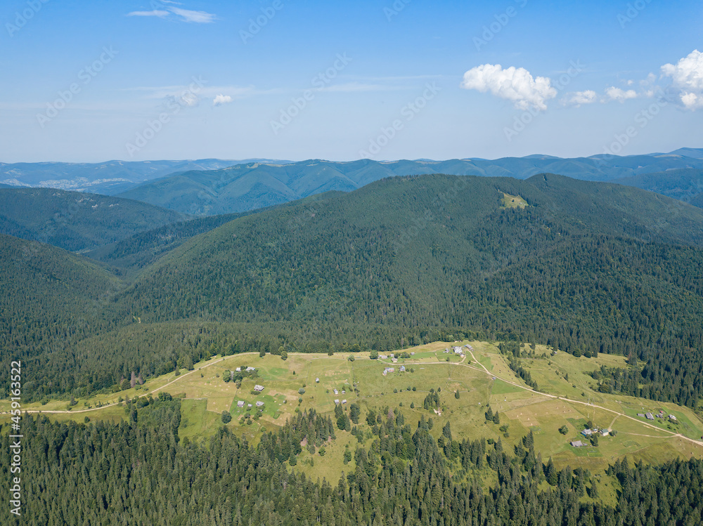 Obraz premium Green mountains of the Ukrainian Carpathians on a sunny summer morning. Coniferous trees on the mountain slopes and green grass. Aerial drone view.