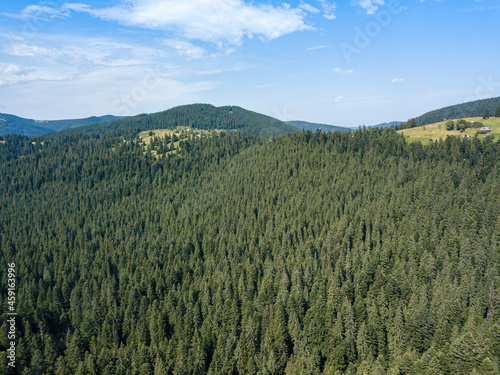 Green mountains of the Ukrainian Carpathians on a sunny summer morning. Coniferous trees on the mountain slopes and green grass. Aerial drone view.